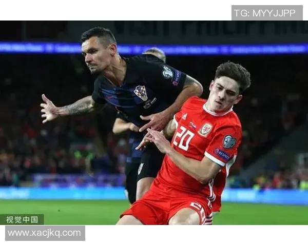威尔士与斯洛伐克精彩对决全程录播回顾分析